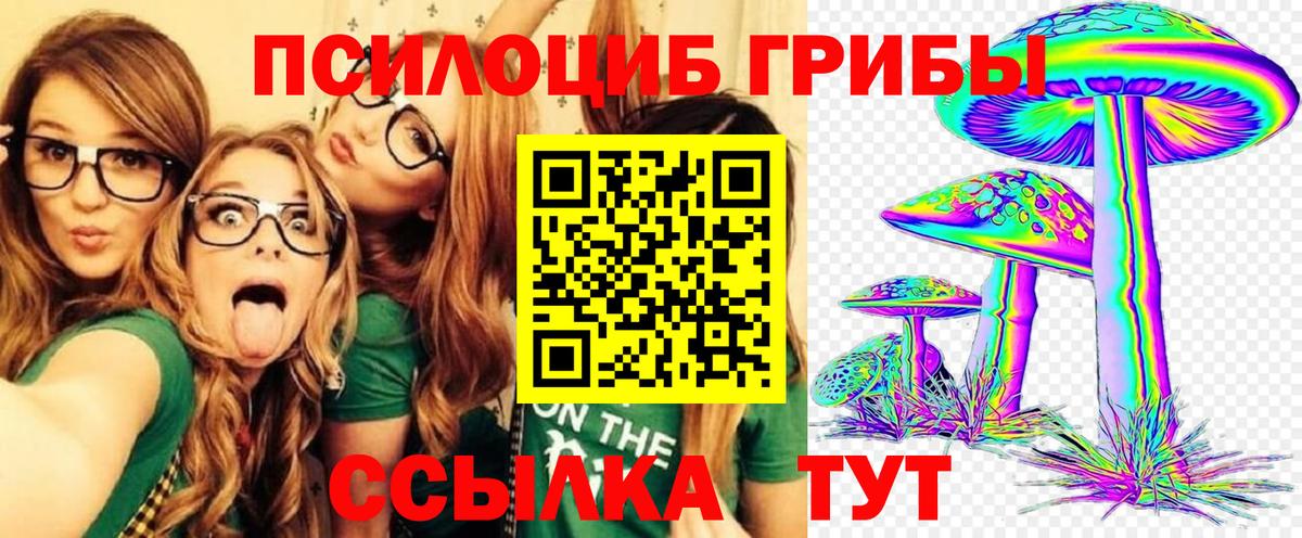Псилоцибиновые грибы мухоморы  Вход с VPN  где продают наркотики  Спасск-Дальний 